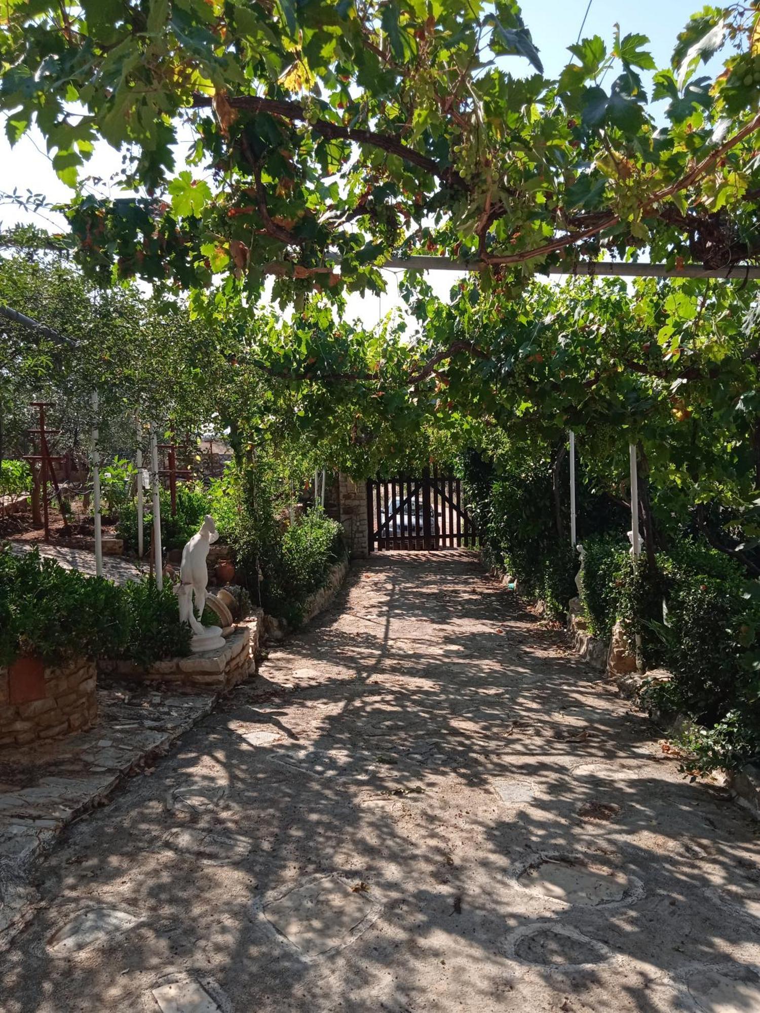 Pontinos Villa Miloi  Exterior photo